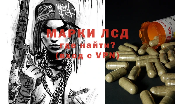 прущая мука Арсеньев