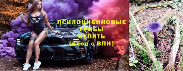 прущая мука Арсеньев