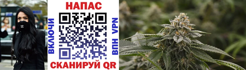 Купить где Среднеколымск МАРИХУАНА White Widow